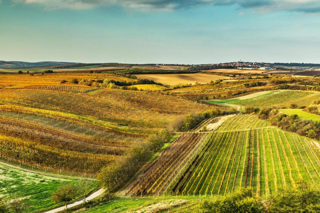 Vinoza - Ubytovani A Vinny Sklep Velke Bilovice Rulandova Exterior photo